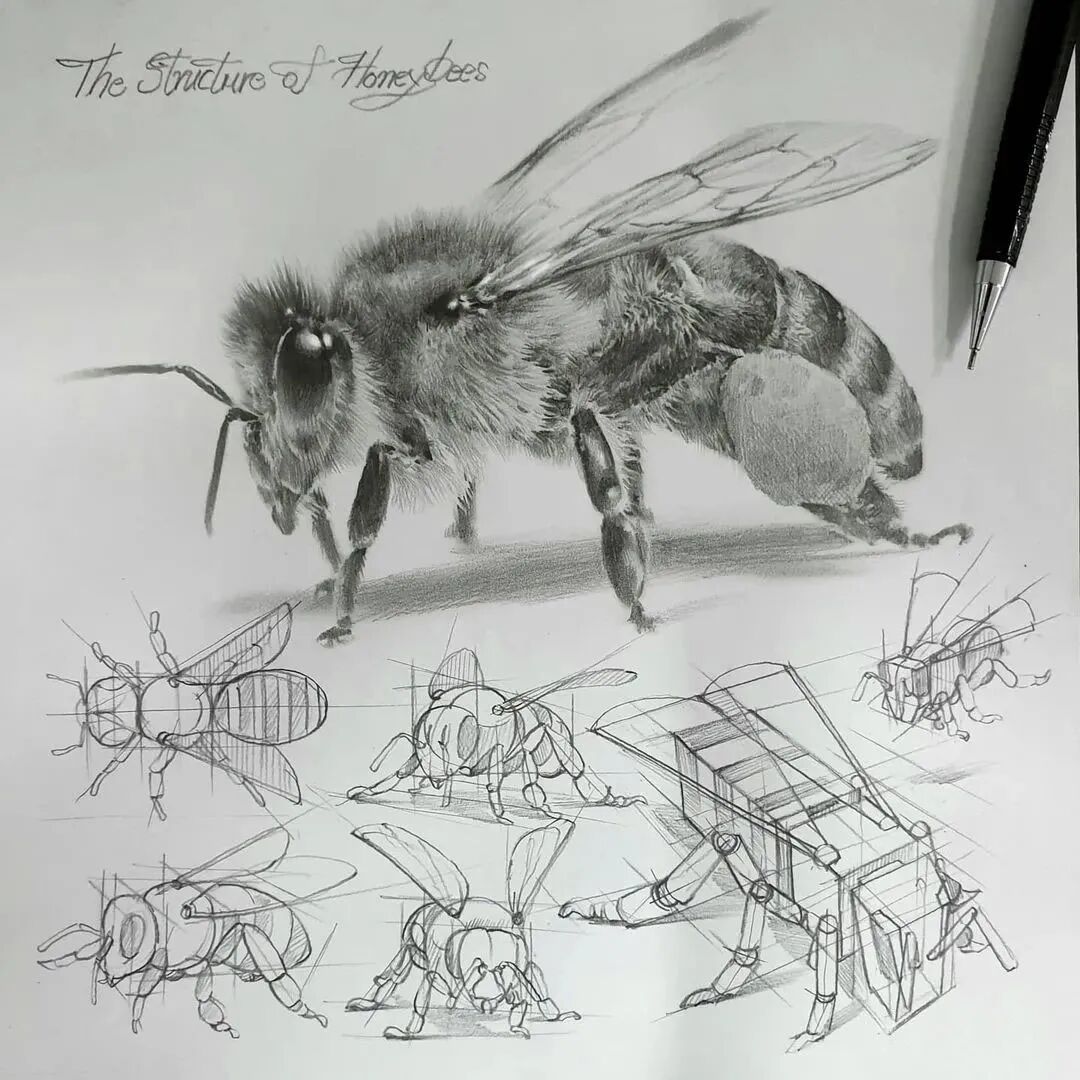 一位美术教师的日常素描(图25)