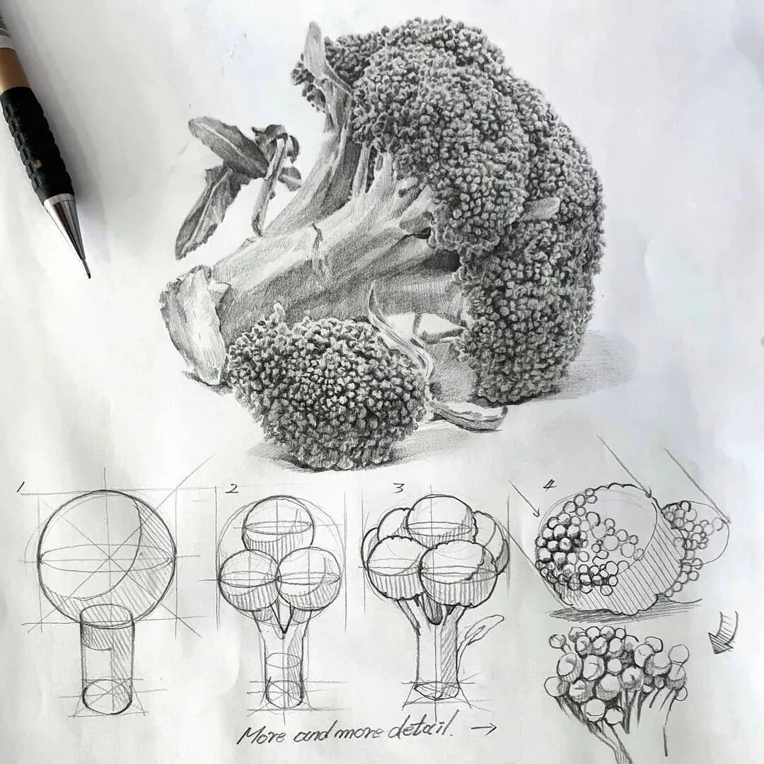 一位美术教师的日常素描(图13)