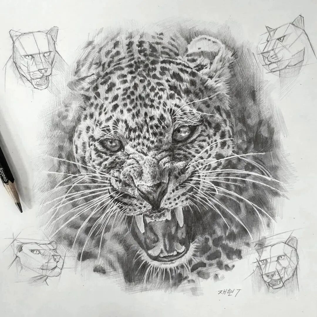 一位美术教师的日常素描(图23)