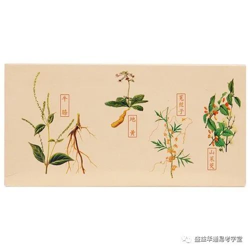 【趣味歌诀】方剂歌诀之左归丸