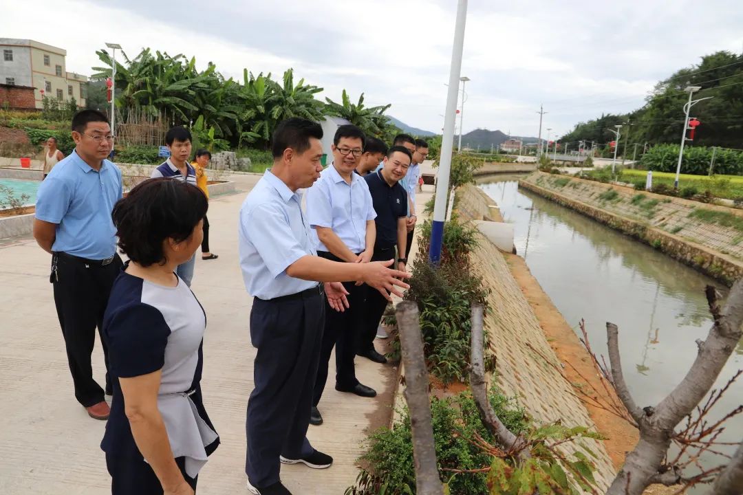 罗岗镇市领导何志平到罗岗调研乡村振兴工作