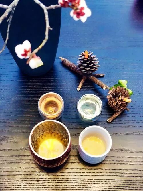 你爱喝的乌龙茶？是一片神奇的树叶！