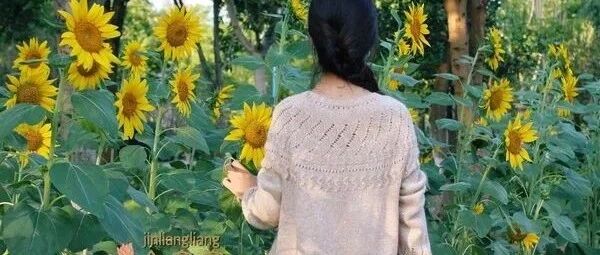 秋波：秋季文艺风女士百搭棒针套头衫（有编织图解）