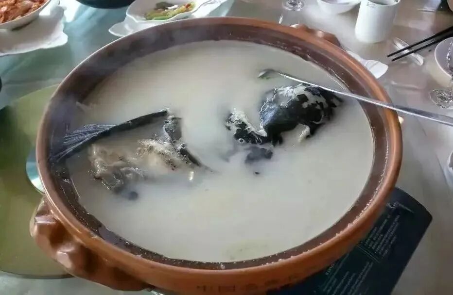 千岛湖旅游最全攻略