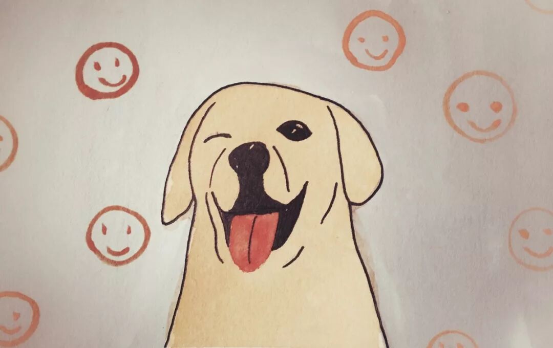 单身大数据曝光：为什么男女比例失调，你还是单身狗