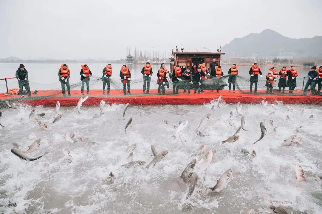 春节旅游优惠活动