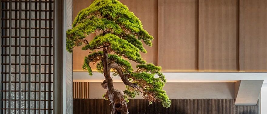 【CCD新作】溧阳万豪酒店，现代东方之美