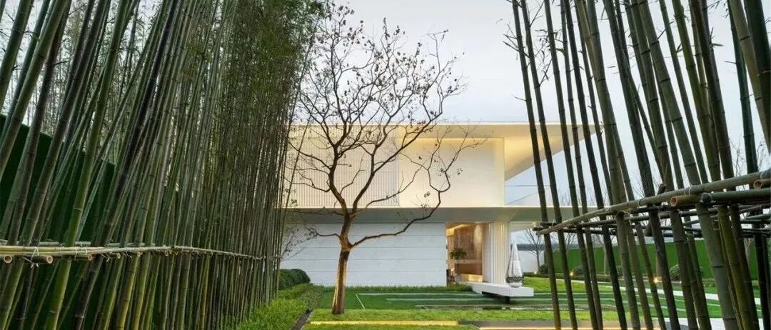 新作 |  运河盛世下的现代自然美学