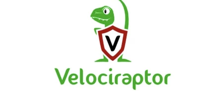 Example Image