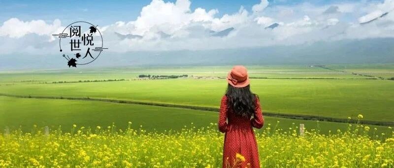 你争什么，就会失去什么