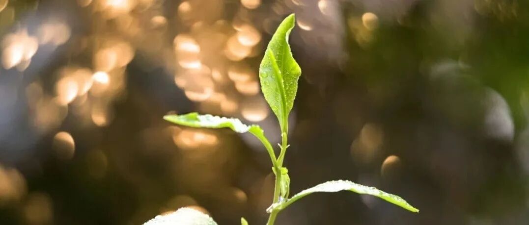 清华才女家教曝光，一句话引发无数人深思！99%的家长都做错了！