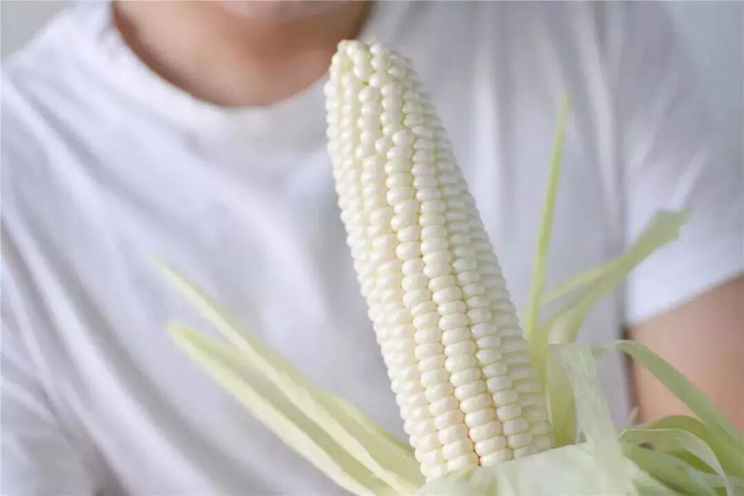 新建 DOCX 文档1085