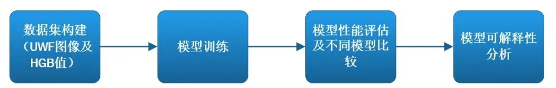 彩色眼底照像查什么陈有信教授团队：基于深度学习通过超广角眼底照相筛查贫血的研究-上海聚慕医疗器械有限公司