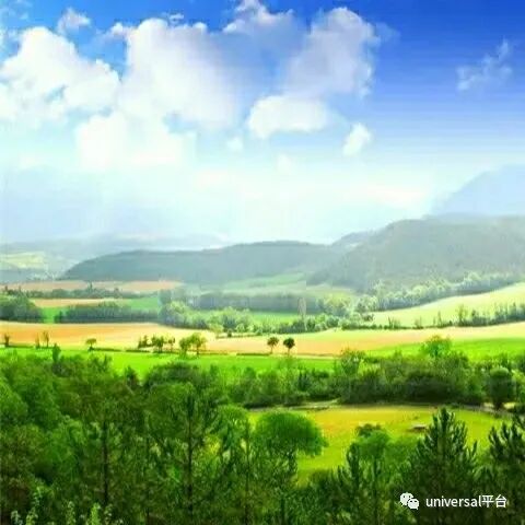 文献引用编号格式_引用文献的编号一般怎么打出来_wps怎么引用参考文献标注