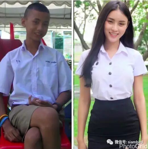 变性人泰语,英语shemale/ladyboy,"人妖"称呼源于华人,指长期服用雌性