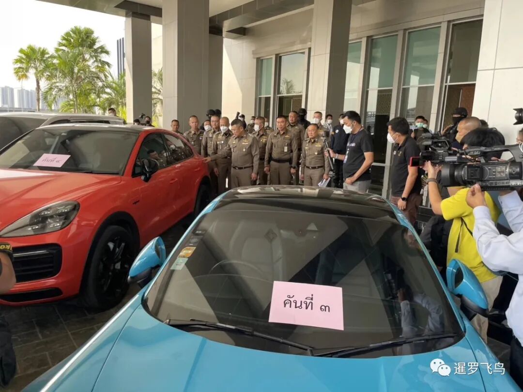 网络赌博| 暹罗飞鸟siambird