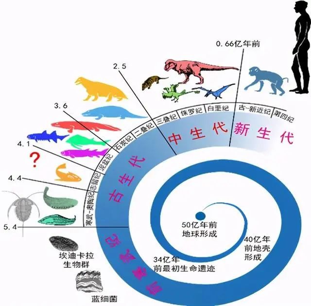 6500万年前恐龙灭亡人类出现百万年中间空白期都发生了什么