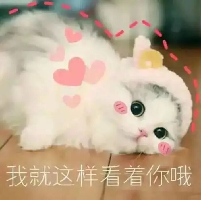 【有偿招募】视频剪辑，500-1500元/个