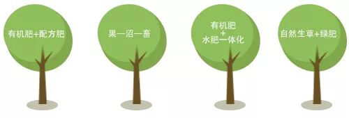 有机蔬菜种植基地实施方案和有机肥补贴，这些地区农民有福了