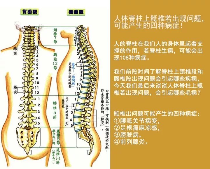 任国忠主任 若脊柱上骶椎出现问题 可引起四种病症 上海西郊骨科医院 微信公众号文章阅读 Wemp