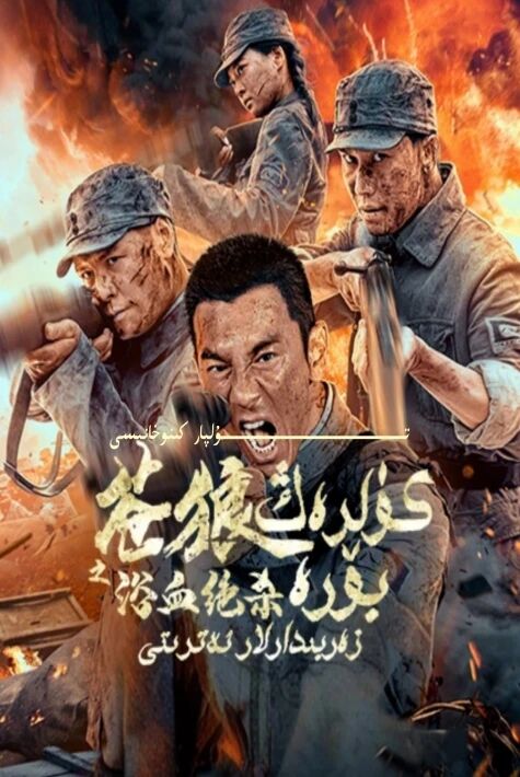 كۈلرەڭ بۆرە زەربىدارلار ئەترتى