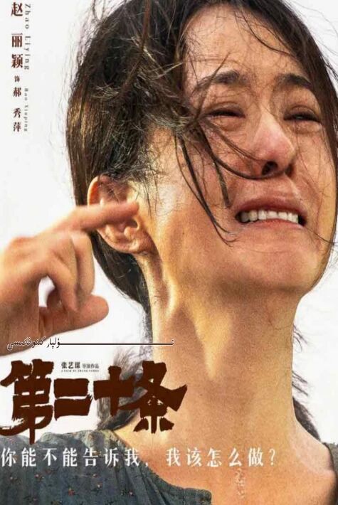 يىگىرمىنجى ماددا جاۋلىيىڭ