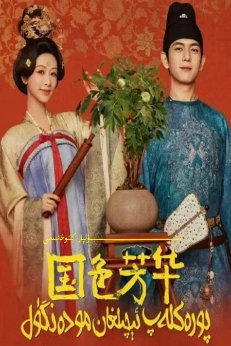 پورەكلەپ ئېچىلغان مودەنگۈل 1