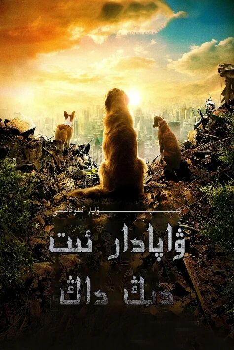 ۋاپادار ئىت دىڭ داڭ ئۆز تىل ھەقسىز