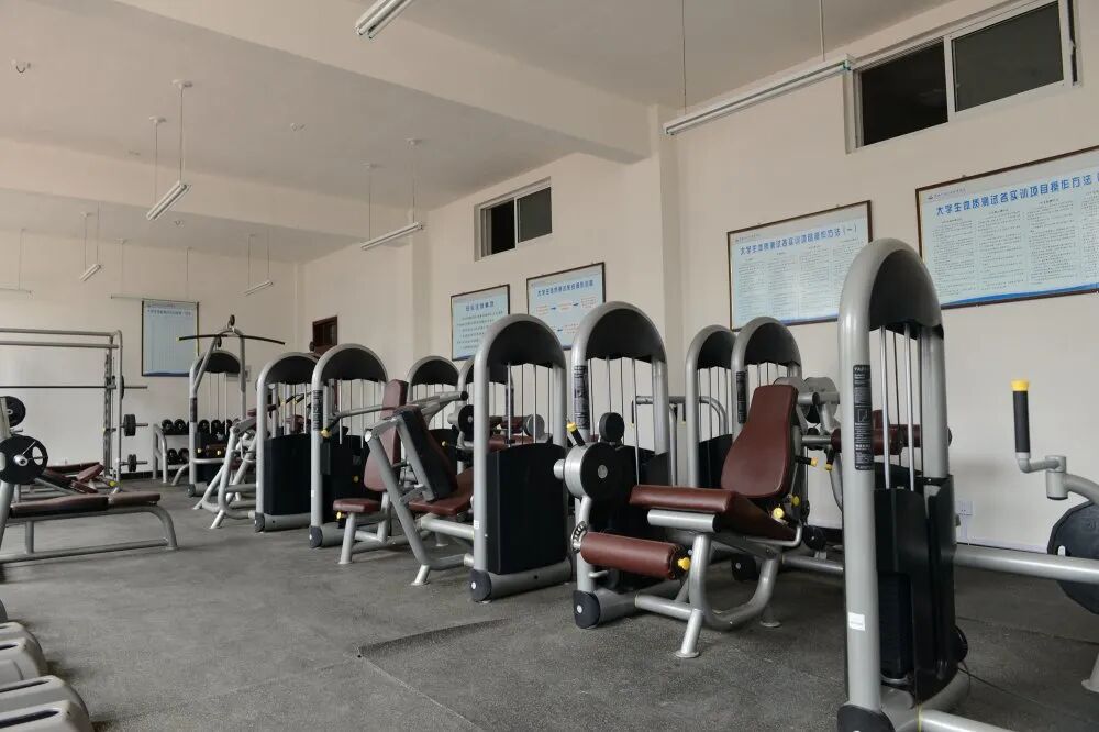 嵩山少林武术职业学院招生条件_嵩山少林武术职业技术学院招生_中国邮政网络培训学院