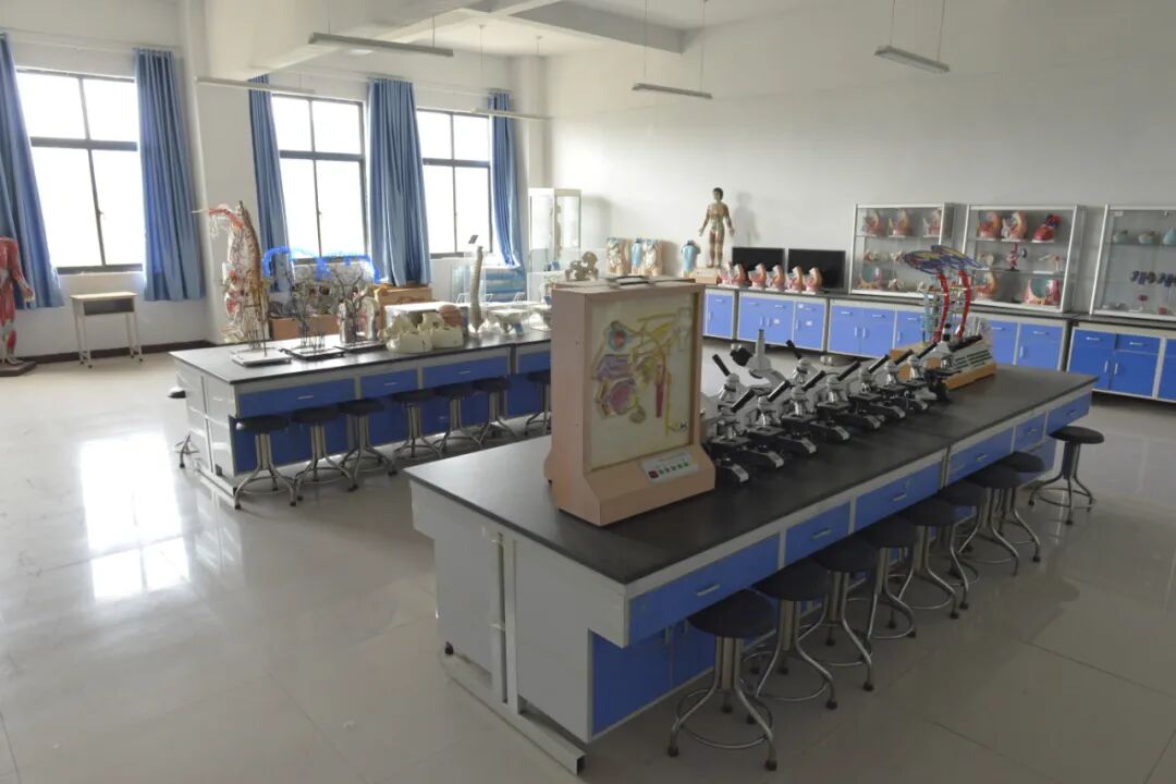 嵩山少林武术职业技术学院招生_中国邮政网络培训学院_嵩山少林武术职业学院招生条件