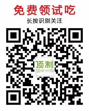 泰迪被欺負沒人要 ，沒想到沒想到竟然活出奇跡 未分類 第3張