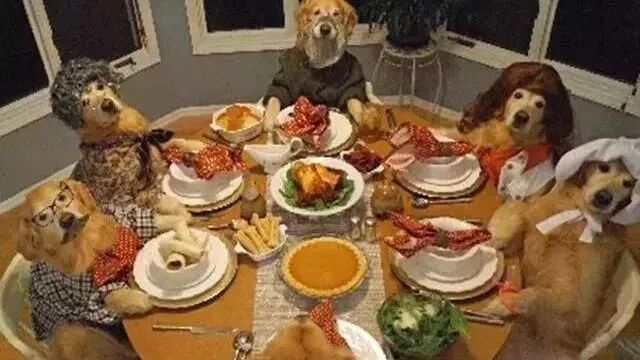 据说，这是春节假期你在家的样子……