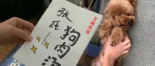 泰迪连咬自家3人，被送去上学后还想咬人，拿出宝藏菜谱后老实了