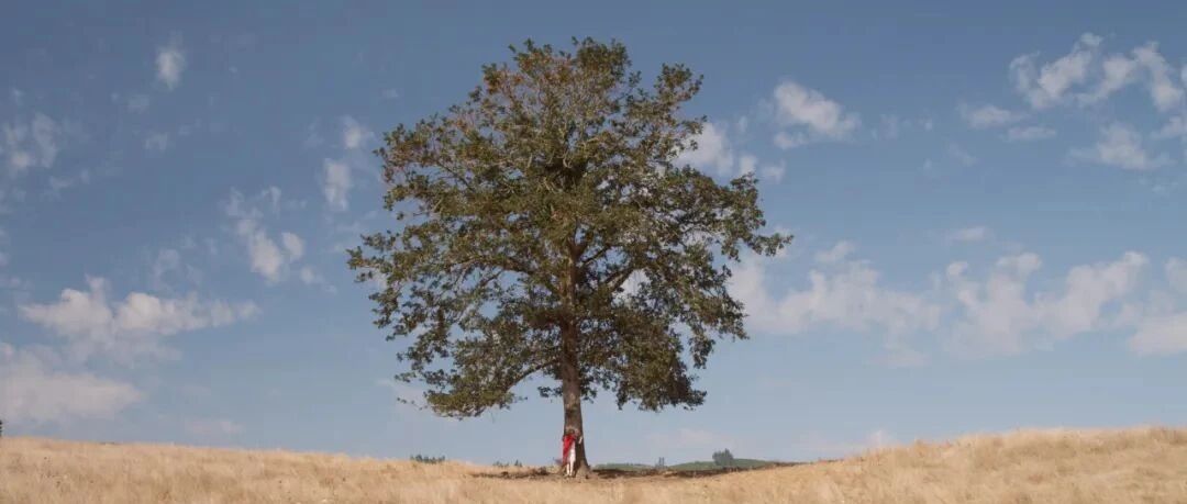 一个人的财富和智慧，就是他最常接触的5个人平均值。