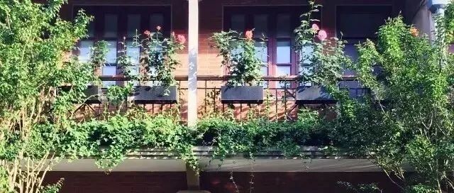 所有高成长背后，都是因为团队给力