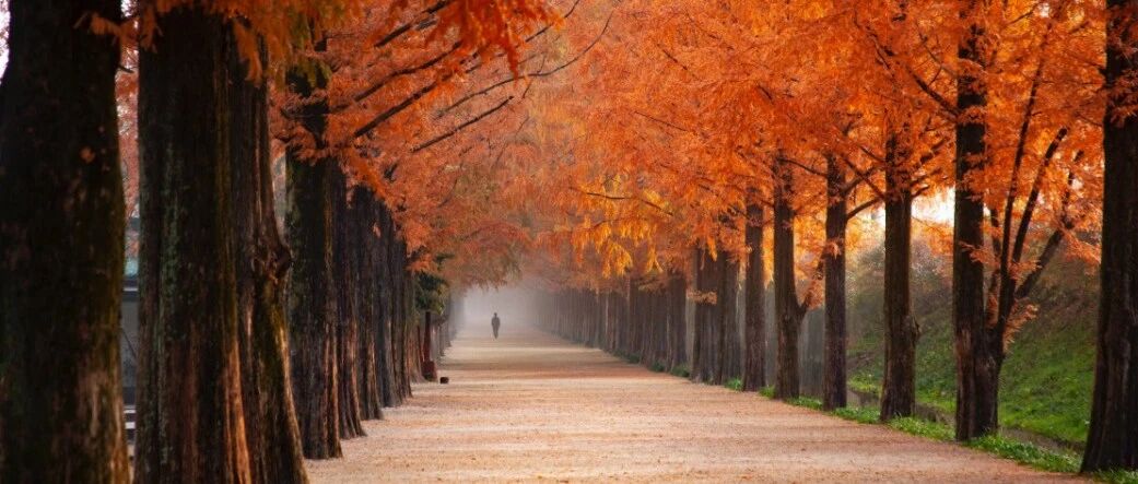 管理好自己，是一个人的真本事