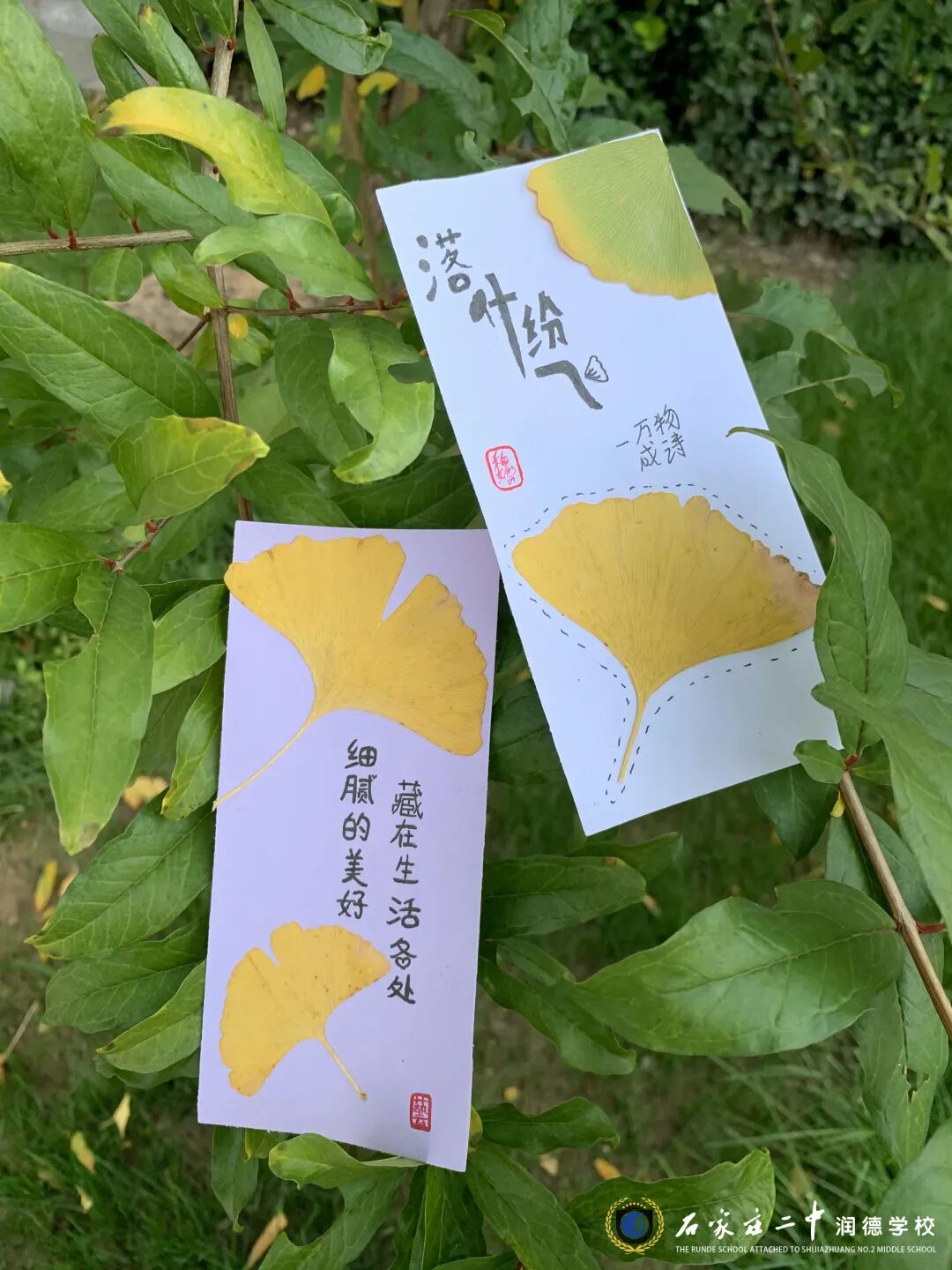 秋日风光无限好，近黄昏，又何妨？落叶更比新叶旺，书签上，润德学子展