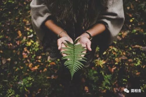 婚友社推薦  心理測試：通過看這四張圖，測你會和什麼屬相的異性相結合？ 星座 第2張