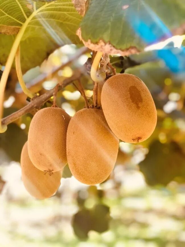 减肥运动的最佳时间_减肥运动视频教程_运动减肥