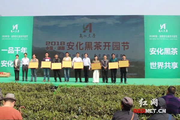 2018年湖南安化黑茶开园,健康之饮“造血”贫困村!