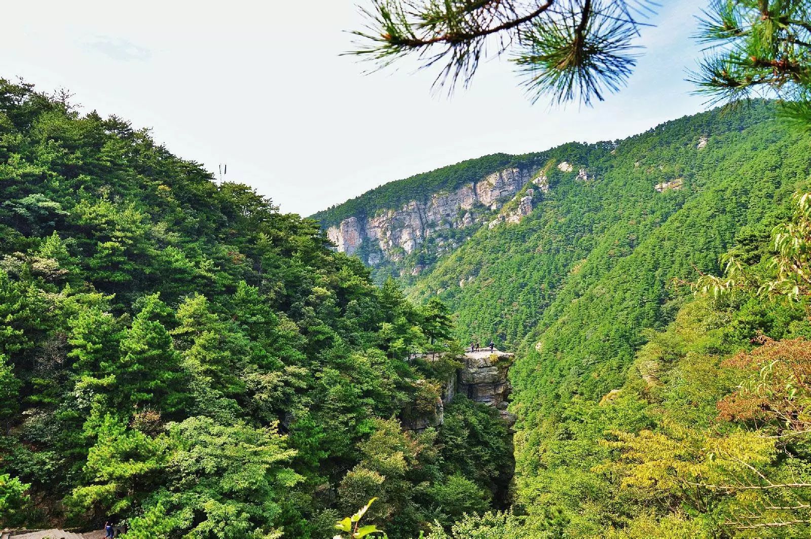 庐山夏天的景色图片