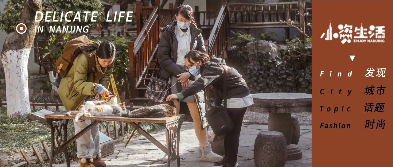 谁不想拥有呢？总统府的后院和猫咪好天气