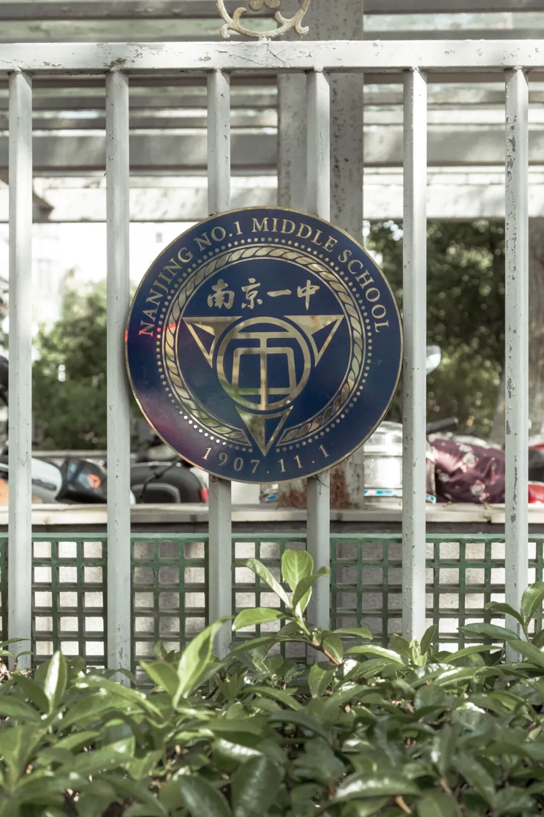 高中神话南京一中,充满着风骚与活力-友友