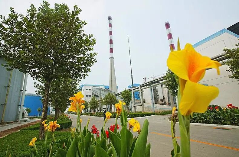優秀！鞏義這家企業上榜“全國有色金屬行業先進集體”的圖6