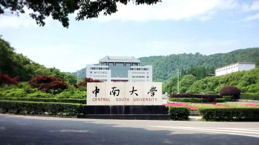 課堂 | 孫偉：金川銅鎳硫化礦降鎂藥劑探索的圖38