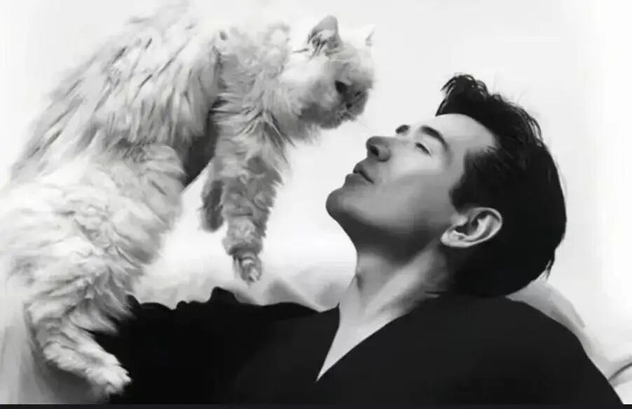 许知远的自卑，在费翔面前一览无余