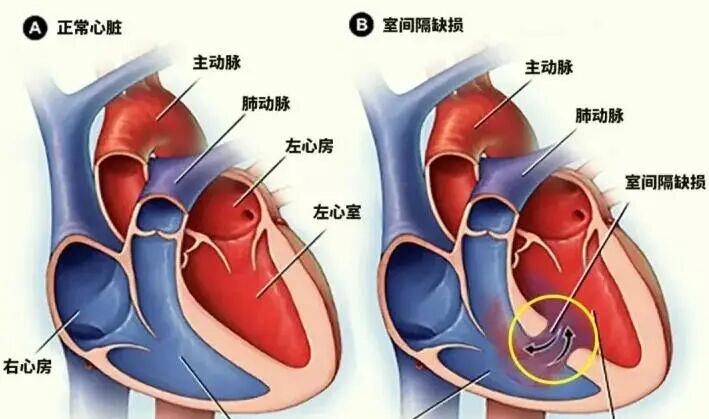 关于北大人民医院、协助就诊，就诊引导号贩子一个电话帮您解决所有疑虑的信息