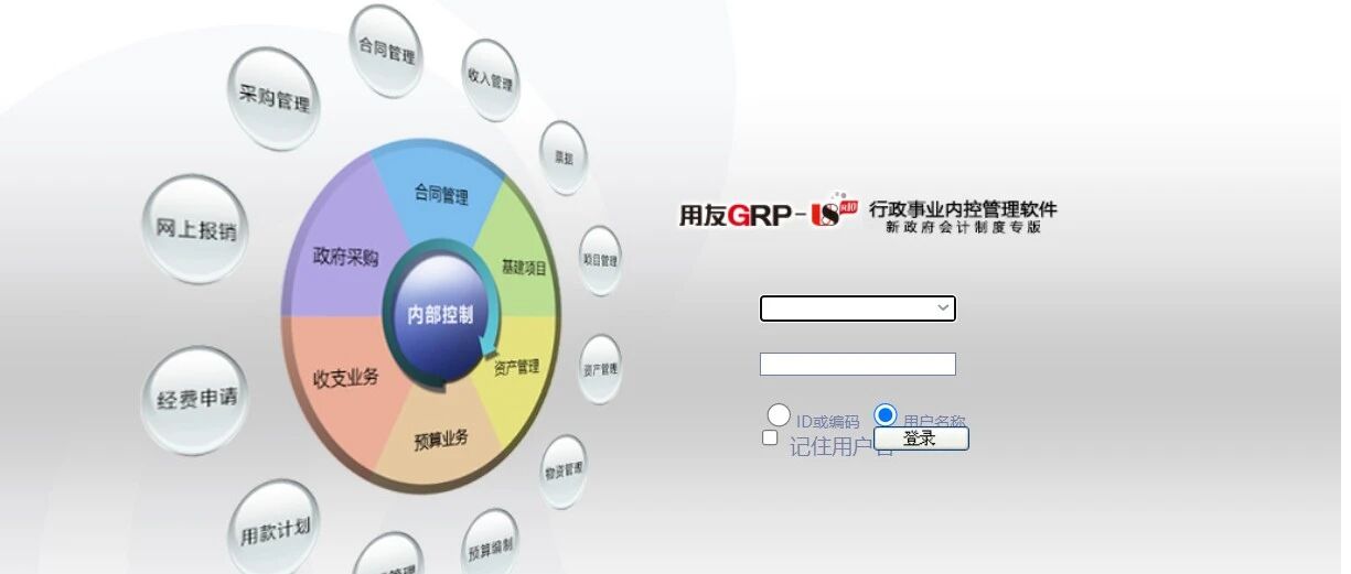 Example Image