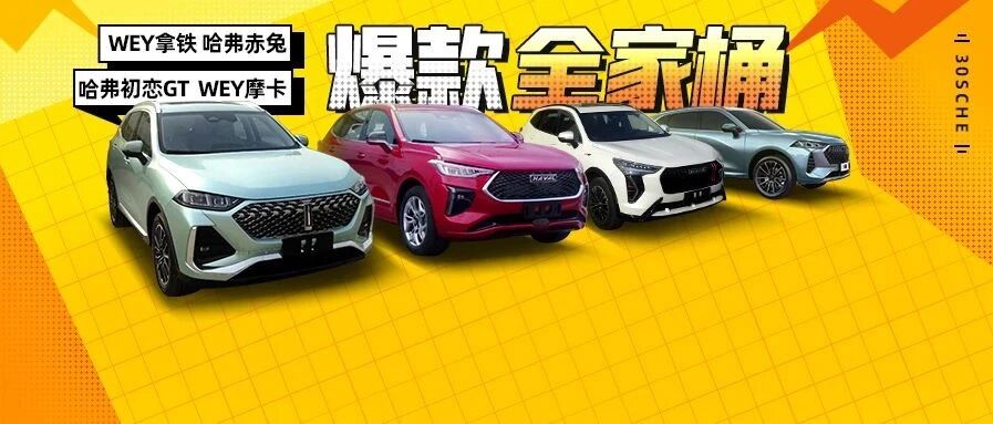 摩卡对战BBA 群狼战术斗合资 中国SUV一哥“网红家族”全来了