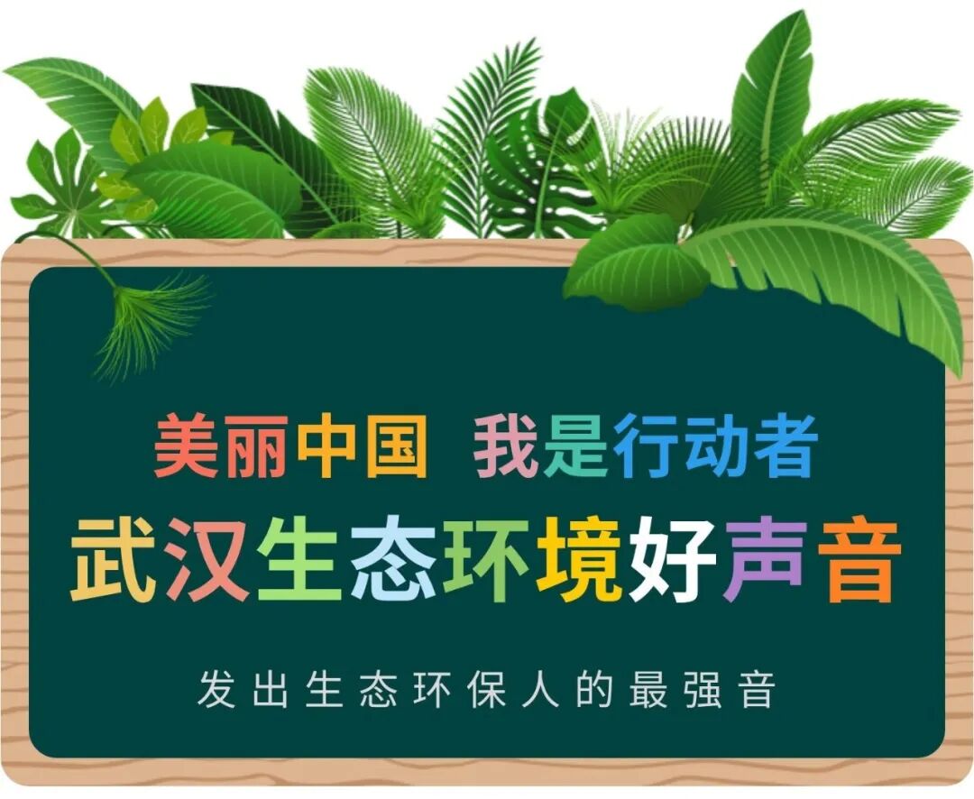 长江委员会 新洲区召开环境保护委员会、长江大保护十大标志性战役领导小组、河湖长制领导小组20